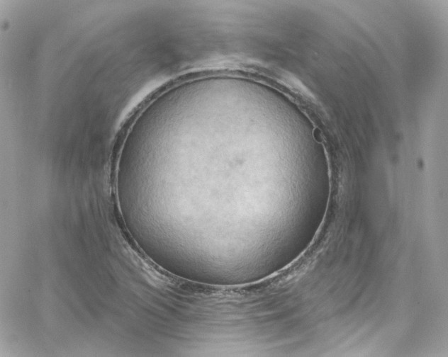 X0000066091216200603241448