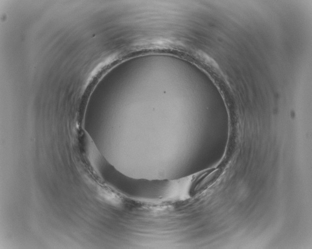 X0000066091218200603241448