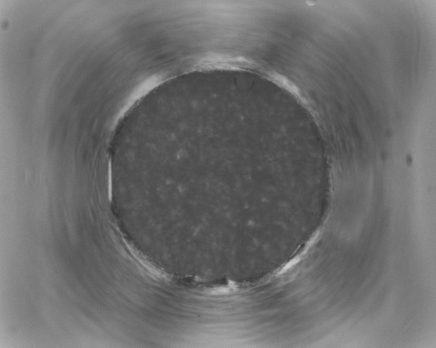 X0000066091219200603241448