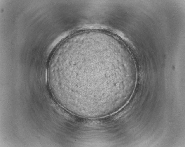 X0000066091221200603241448