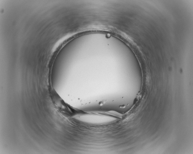 X0000066091222200603241448