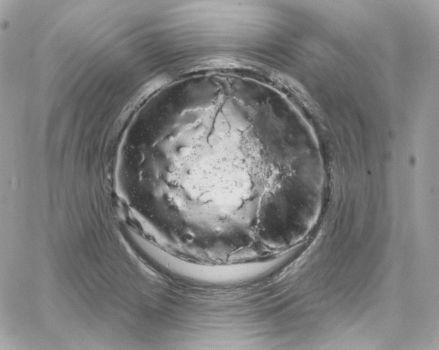 X0000066091225200603241448