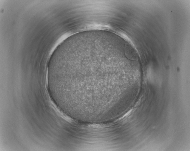 X0000066091227200603241448