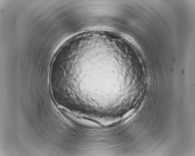 X0000066091228200603241448