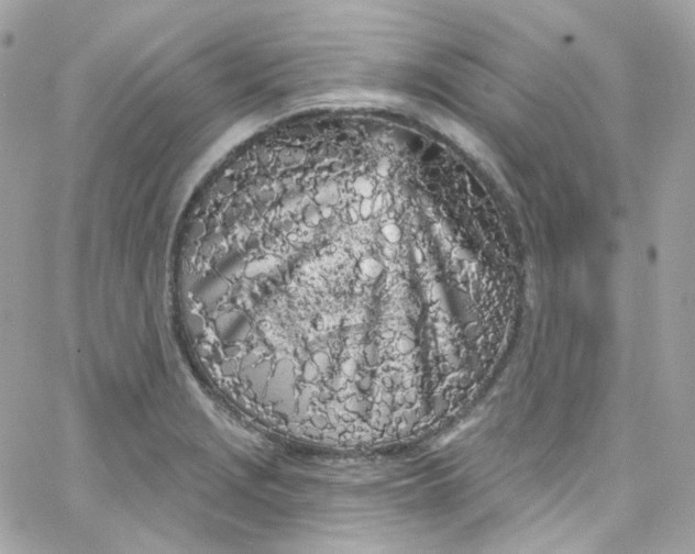 X0000066091229200603241448