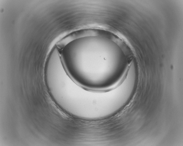 X0000066091230200603241449