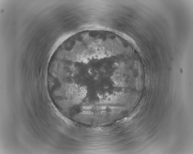 X0000066091231200603241449