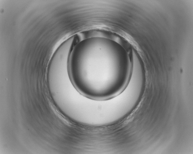 X0000066091234200603241449