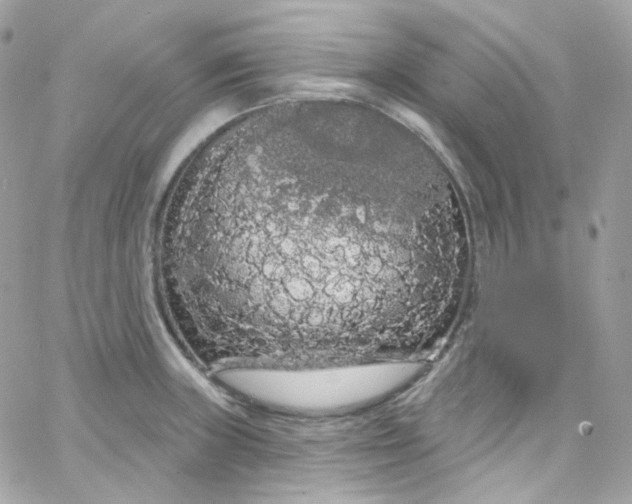 X0000066091235200603241449