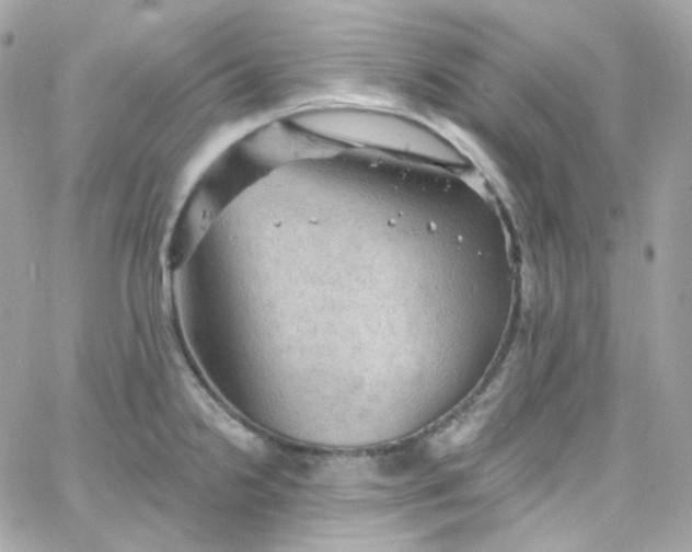 X0000066091238200603241449