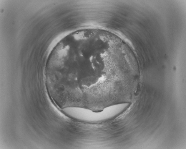 X0000066091239200603241449