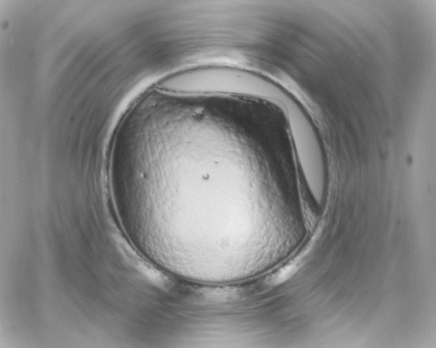 X0000066091240200603241449