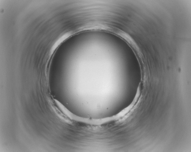 X0000066091242200603241449