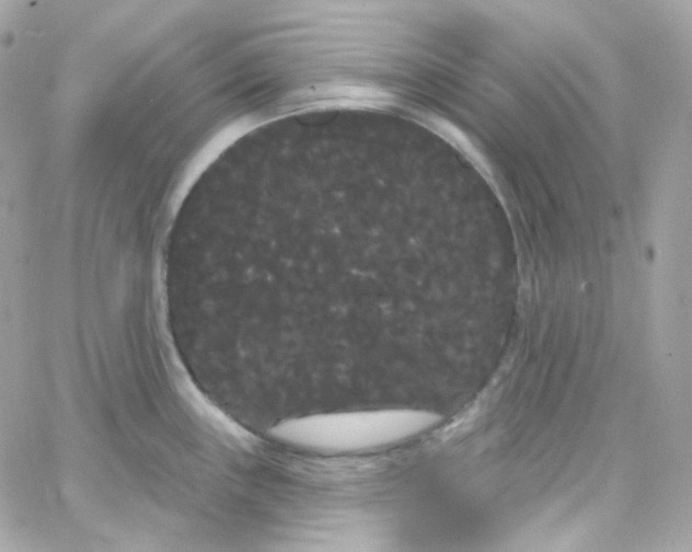 X0000066091243200603241449