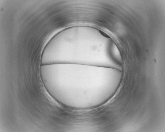 X0000066091244200603241449