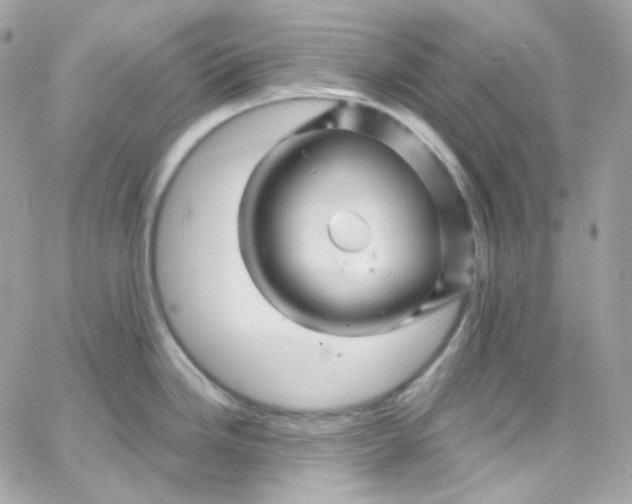 X0000066091246200603241449