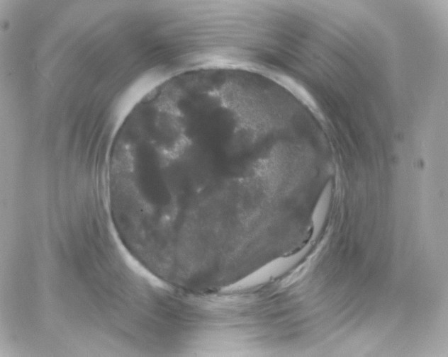 X0000066091247200603241449