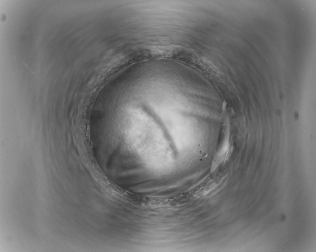 X0000066091249200603241448