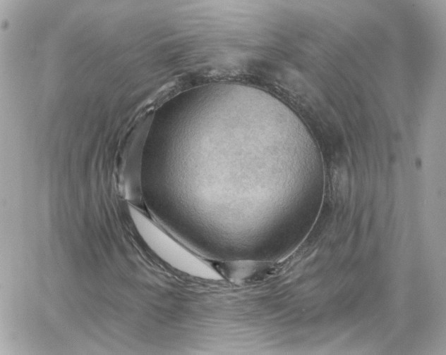 X0000066091250200603241448