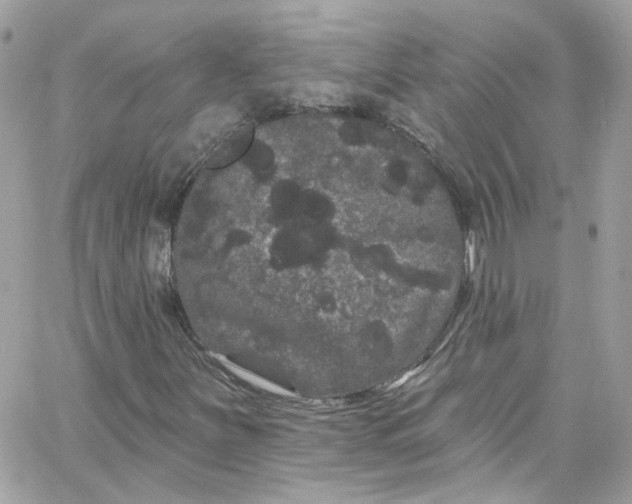 X0000066091251200603241448