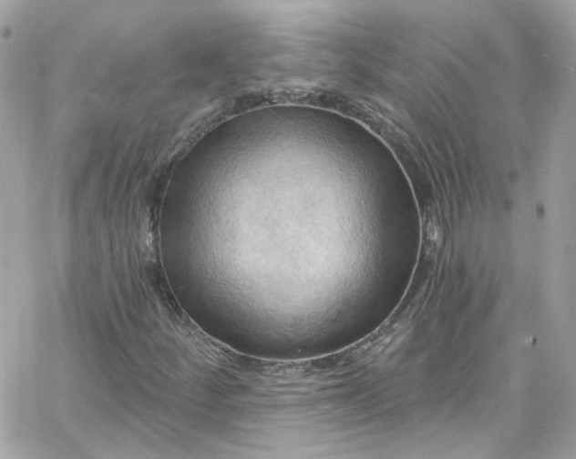 X0000066091252200603241448