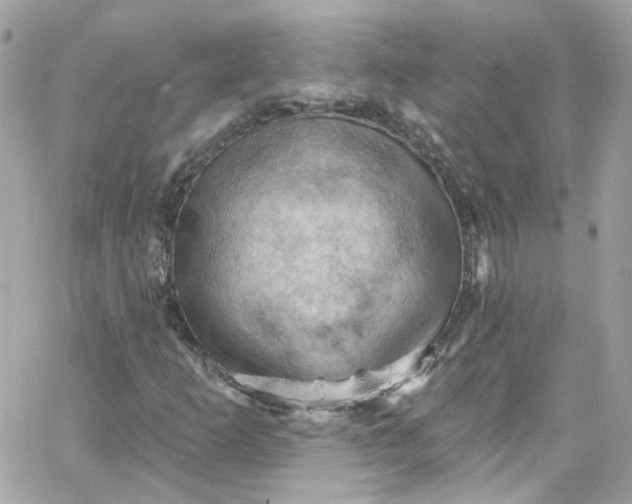 X0000066091253200603241448