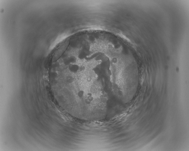 X0000066091255200603241448