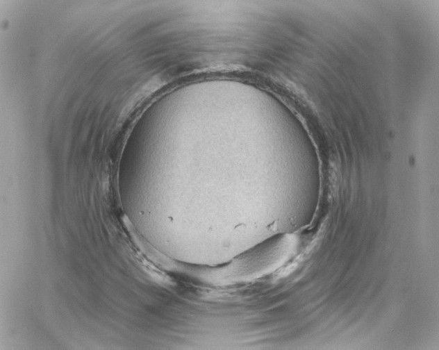 X0000066091257200603241448