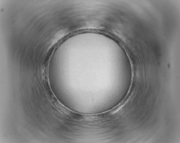 X0000066091258200603241448