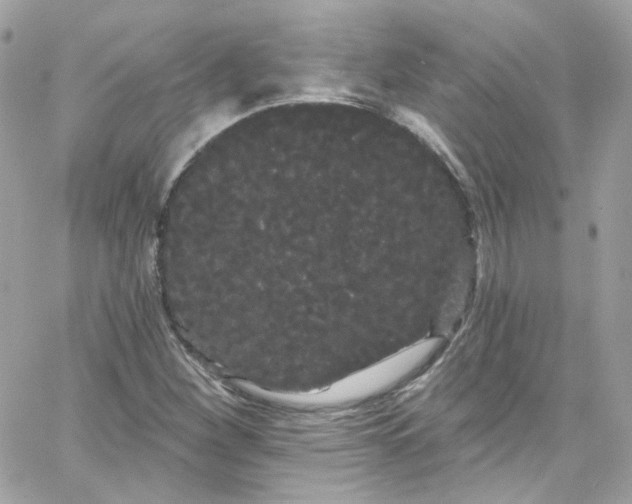 X0000066091260200603241448