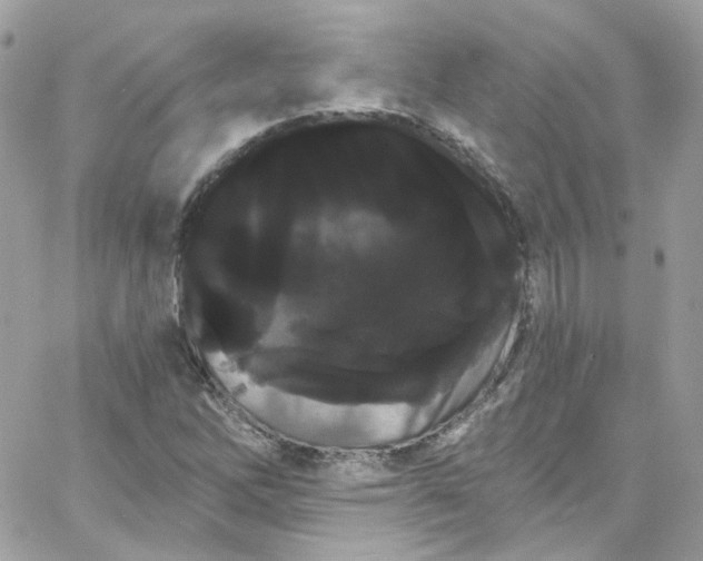 X0000066091262200603241448