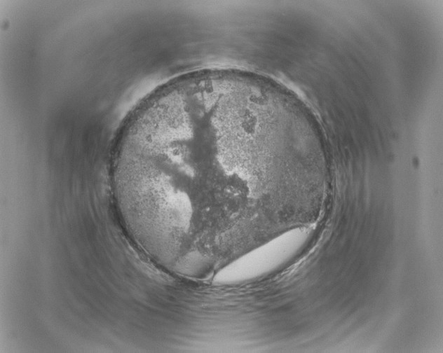 X0000066091263200603241448