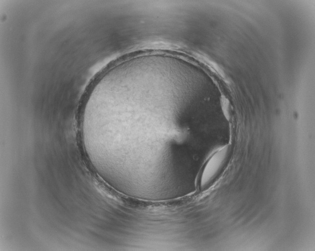 X0000066091264200603241448