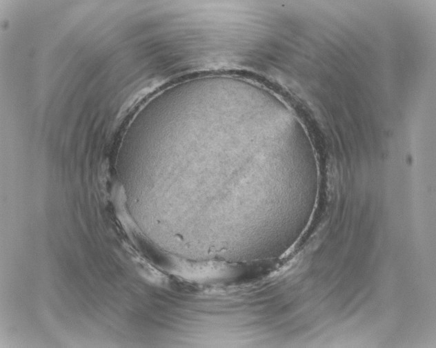 X0000066091265200603241448