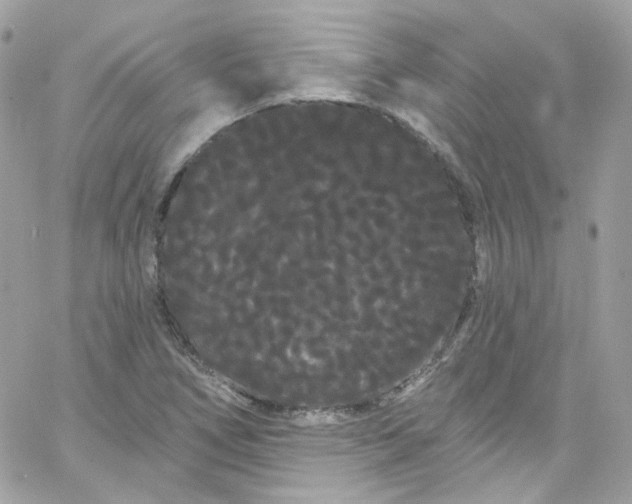 X0000066091266200603241448