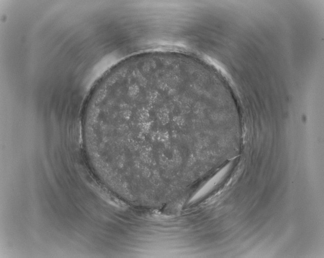 X0000066091267200603241448