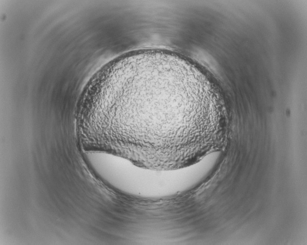 X0000066091268200603241448