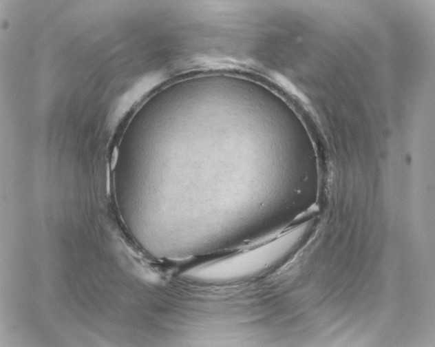 X0000066091269200603241448