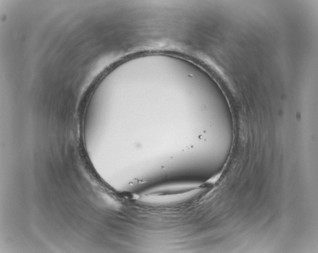 X0000066091270200603241448