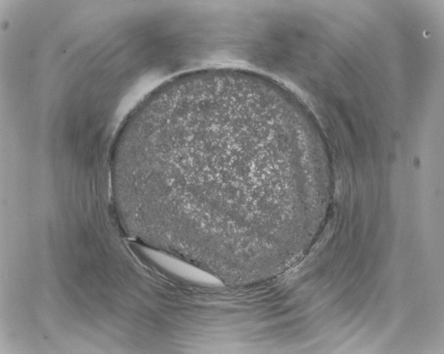 X0000066091271200603241448