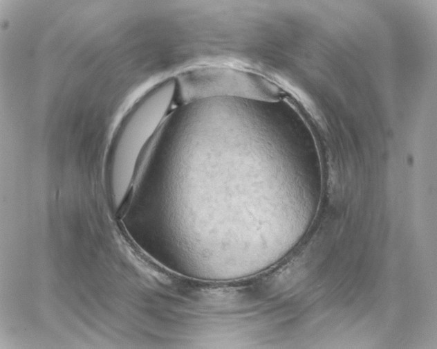 X0000066091272200603241448