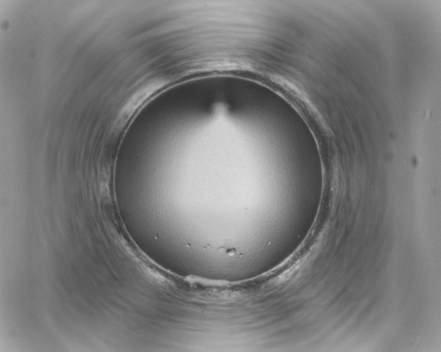 X0000066091273200603241448