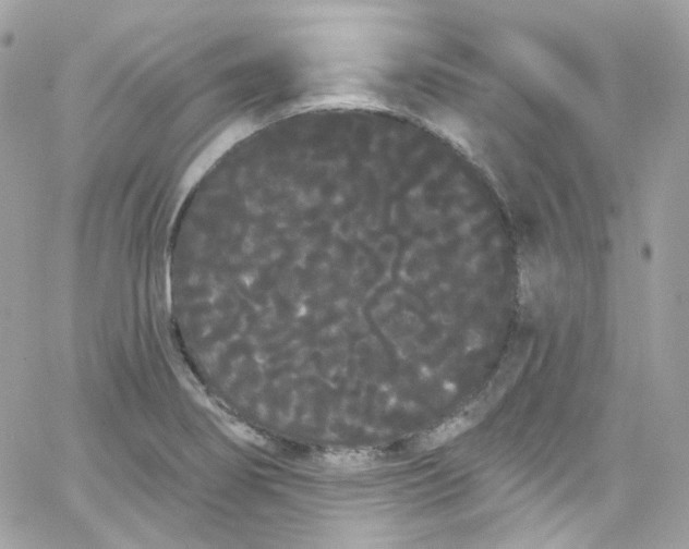 X0000066091274200603241448