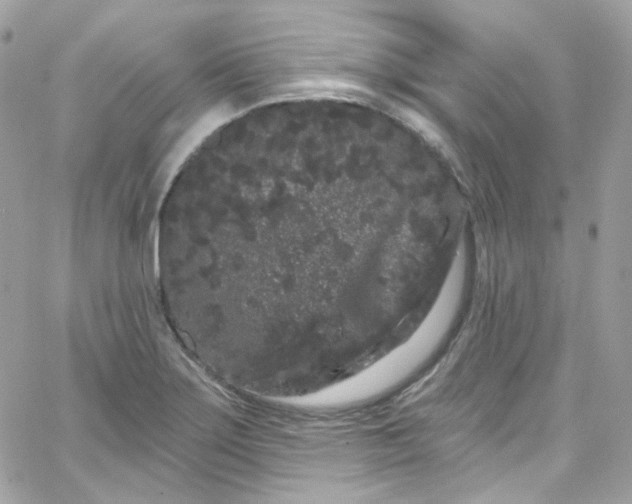 X0000066091275200603241448