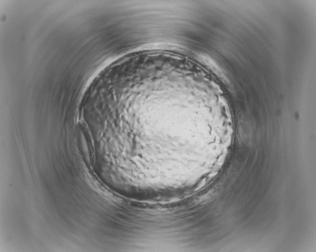 X0000066091276200603241448