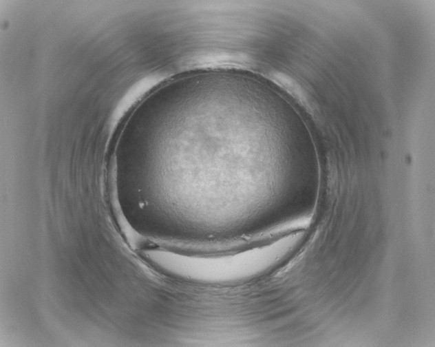 X0000066091277200603241448