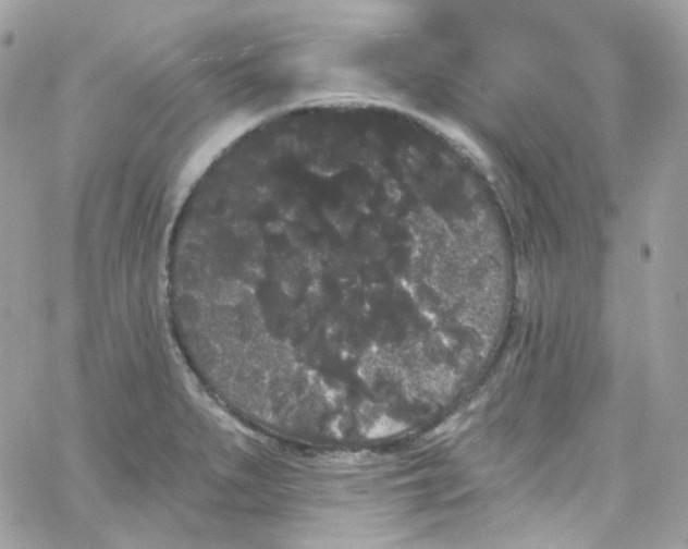 X0000066091279200603241448