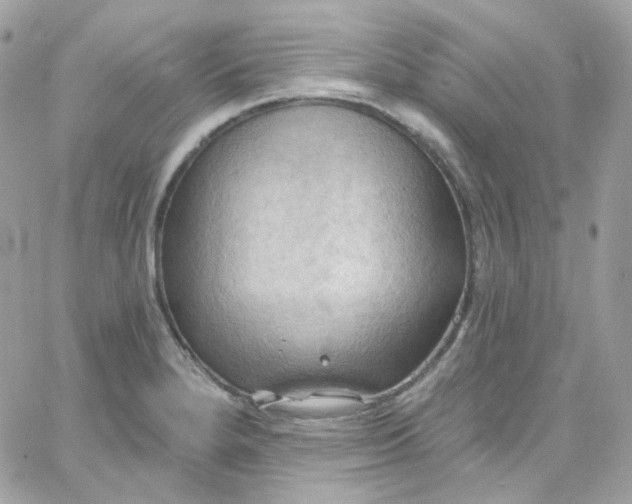 X0000066091280200603241448