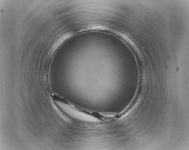 X0000066091281200603241448