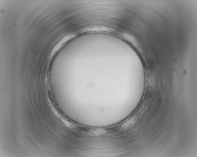 X0000066091282200603241447